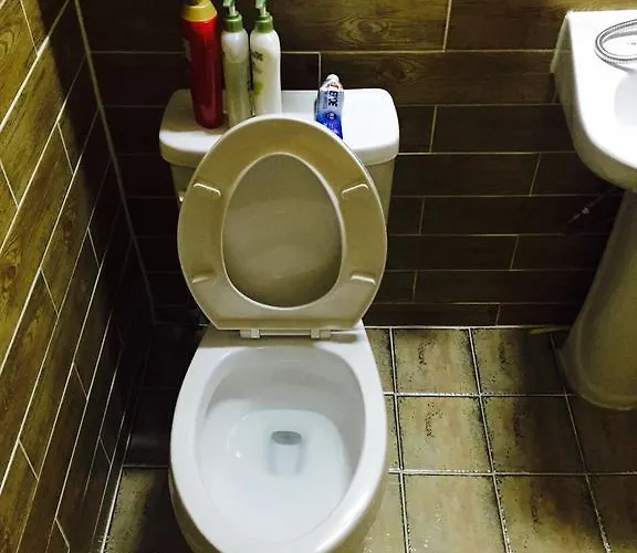 达雅延韩屋公寓 招待所 3*