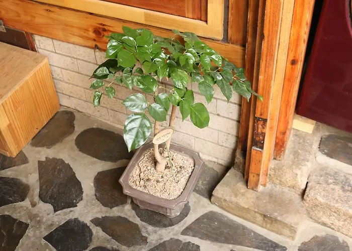招待所 达雅延韩屋公寓 3*