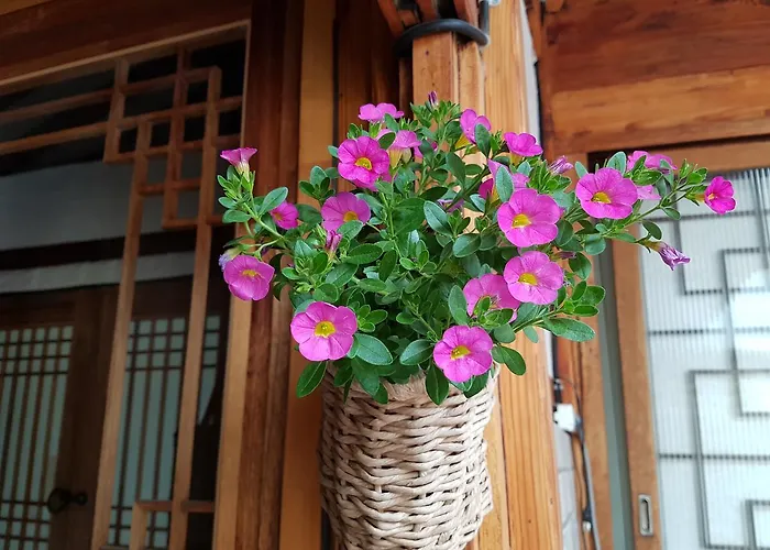 达雅延韩屋公寓 首爾